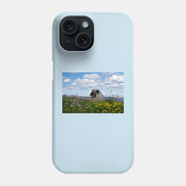 Keeshond amongst the flowers Phone Case by Violaman