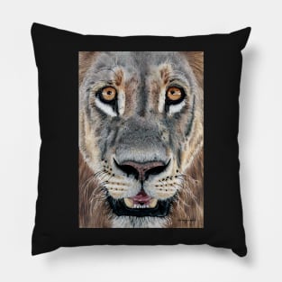 Lion Eyes Pillow