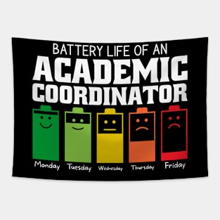 Battery Life Of An Academic Coordinator Tapestry