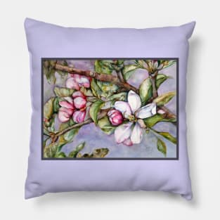 Summer Apricot Fruit Tree Bloom Watercolor Award Winning Pillow