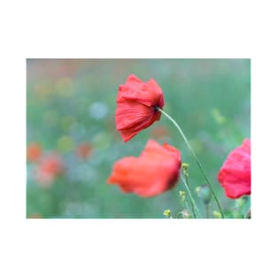 Poppies in the wind, Somme, France T-Shirt