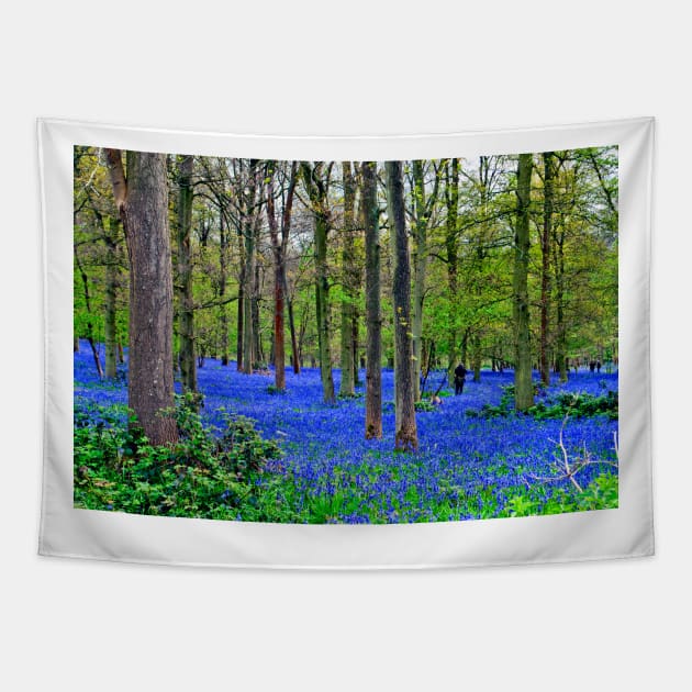 Bluebell Woods Greys Court Oxfordshire England UK Tapestry by AndyEvansPhotos
