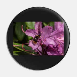 Busy Bee 2 Pin