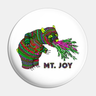 Mt. Joy Pin