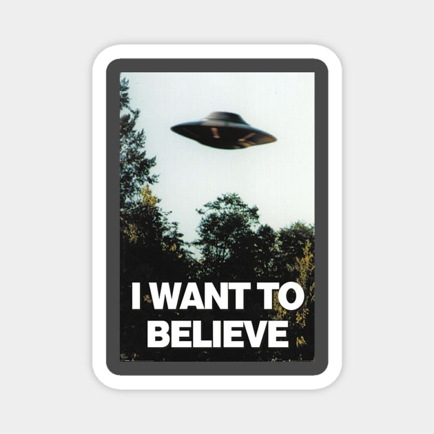 I Want To Believe Magnet by discpeplum