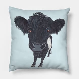 BELTED GALLOWAY Pillow