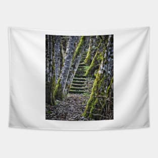 Moss Stairs Tapestry