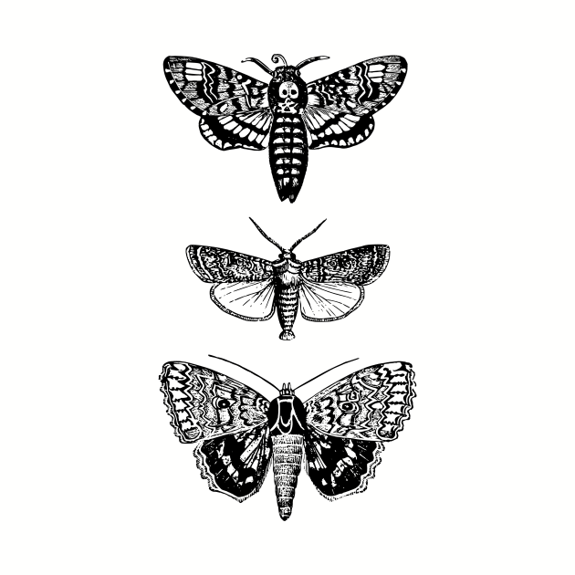 Moths by OHH Baby