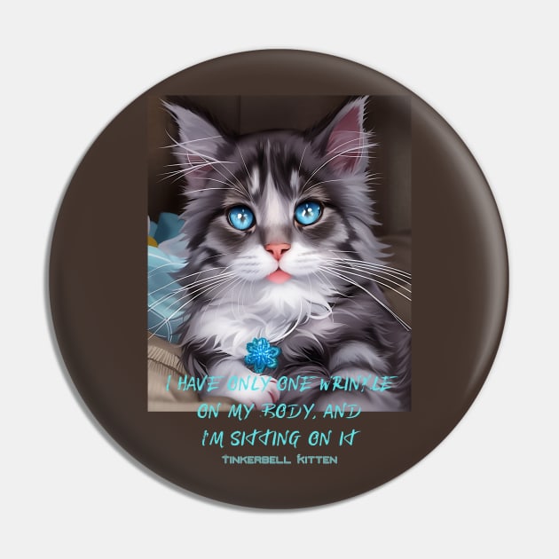 I have only one wrinkle on my body and I'm sitting on it (kitten) Pin by PersianFMts