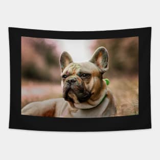 French bulldog with holi powder in the grass Tapestry