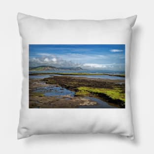 Lyme Bay at Low Tide Pillow