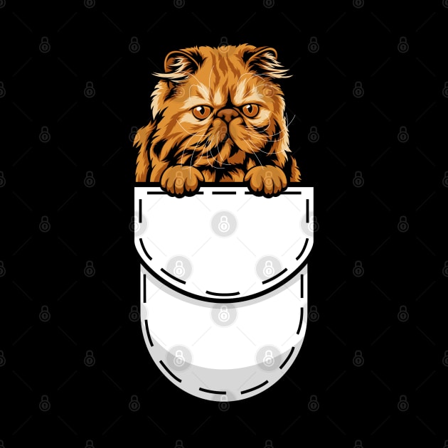 Funny Pocket Cat Persian by Pet My Dog