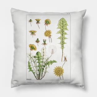 Dandelion (1896) Pillow