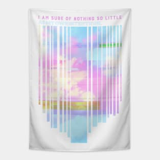 Aesthetic, I Am Sure of Nothing So Little As My Own Intentions v.3 Tapestry