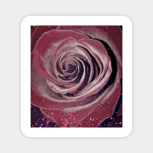 Cosmic Red Rose Magnet