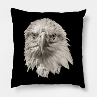 Bald eagle Pillow