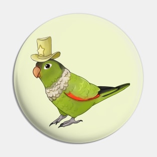 Cute Black Capped Conure with Hat Pin