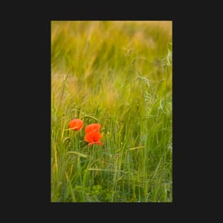 Remembrance - Wild Red Poppies T-Shirt