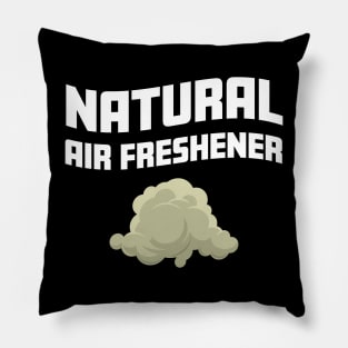 Natural Air Freshener Funny Farting Gag and Fart Zone Humor Pillow