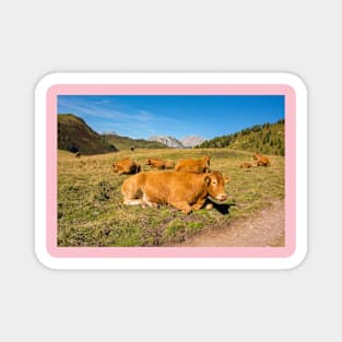 Italian Alpine Cows Magnet