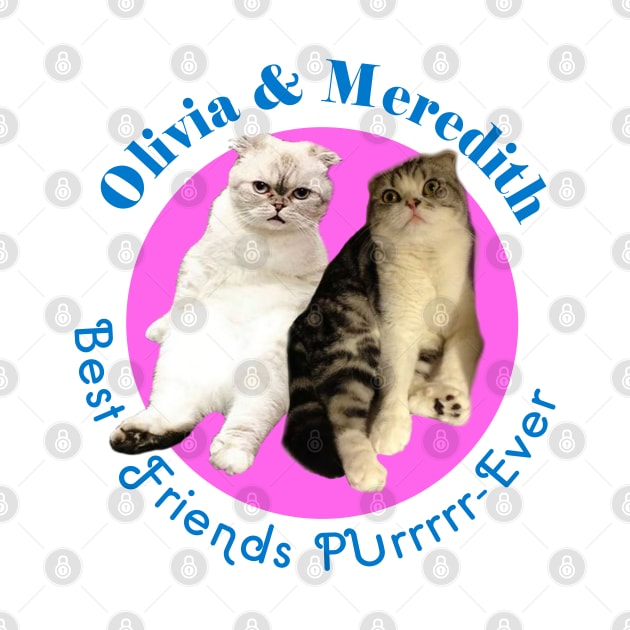 Olivia & Meredith by geeklyshirts