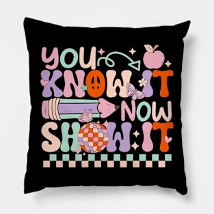 Groovy You Know It Now Show It Testing Day  Kids Funny Pillow