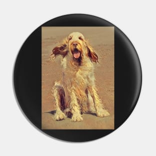 Sitting on a Beach Spinone Pin