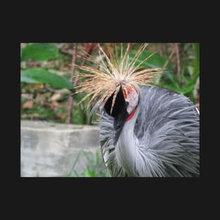 Crested Crane T-Shirt