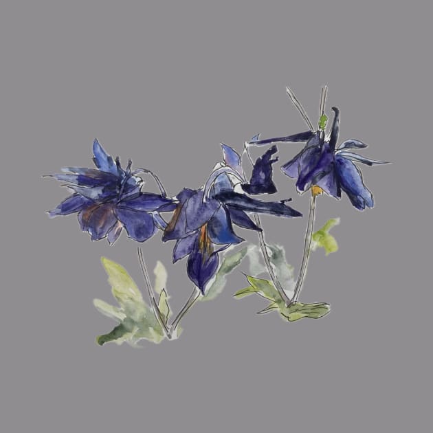 More Aquilegia by bobpetcher