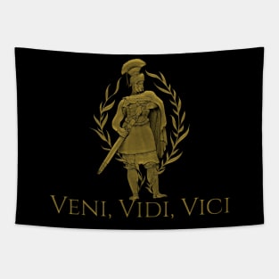 Veni Vidi Vici Tapestry