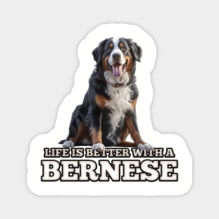 Bernese mountain dog Magnet