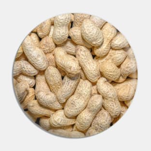 Salted Raw Peanuts In Shells Photograph Pin