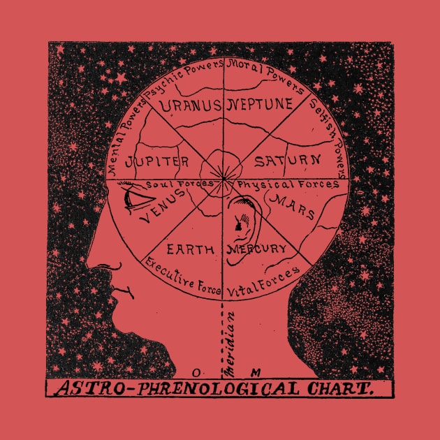 Phrenology by goodieg