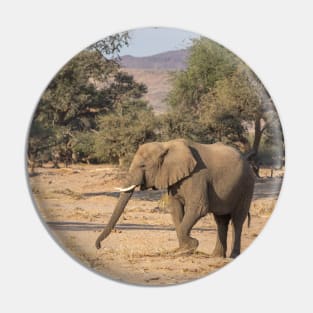 Namibia. Bushland. Elephant. Pin