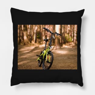 Life is like riding a bicycle. To keep your balance you must keep moving Pillow