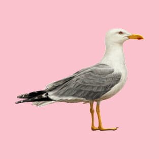 Seagull T-Shirt