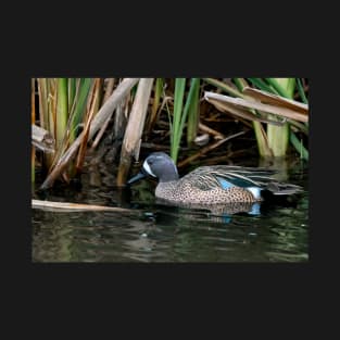 Blue-winged Teal South Texas T-Shirt