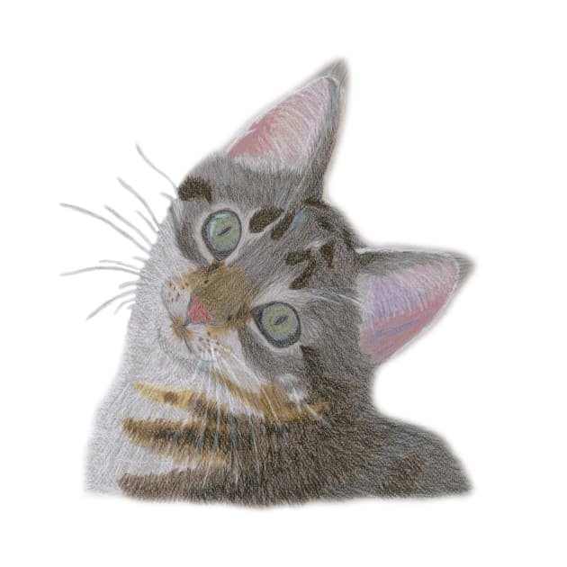 Colored Pencil Kitten Portrait by TopsyTriceratops