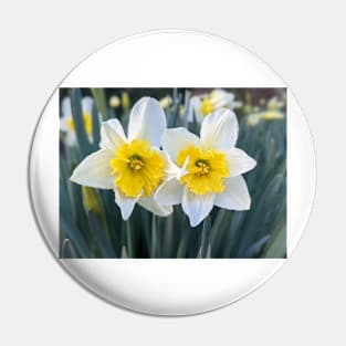 White and Yellow Daffodil Couple Pin