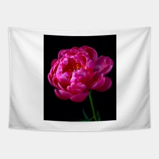 Pink Peony In Full Bloom Tapestry