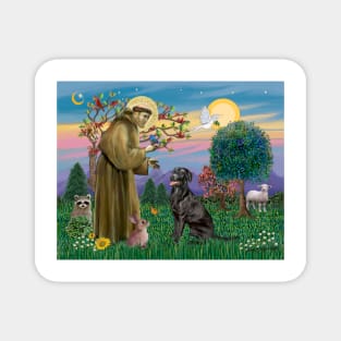 Saint Francis Blesses a Black Labrador Retriever Magnet