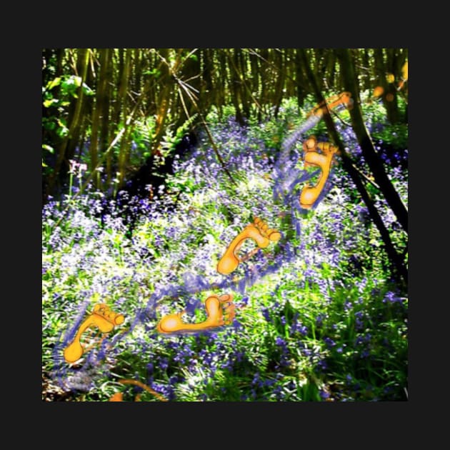 Footprints in a Bluebell Wood by Visuddhi