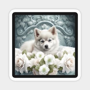 Romantic Pomsky Magnet