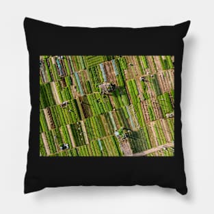 Vegetable village aerial view in Hoi An, Vietnam Pillow