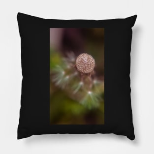 Dead Dandelion Pillow