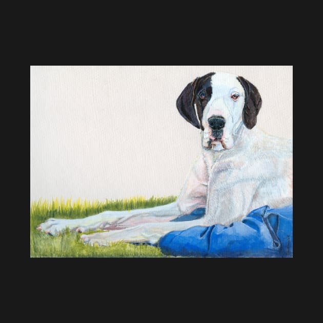 Great dane - harlequin by doggyshop