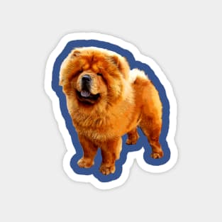 Chow Chow Adorable Puppy Dog Magnet