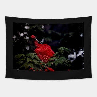 Scarlet Ibis Tapestry