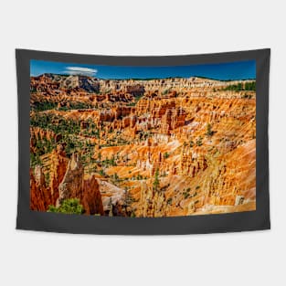 Bryce Canyon National Park Tapestry