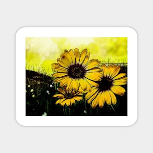 Sunflowers - Abstract Magnet